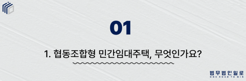 협동조합형 민간임대주택